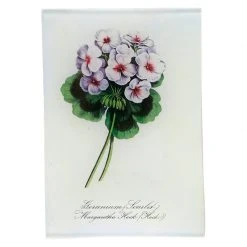 John Derian Decoupage Geranium Scarlet