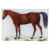 John Derian Decoupage A Horse