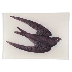 John Derian Swift (New) Decoupage