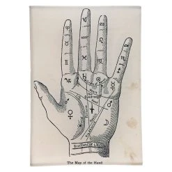 John Derian Decoupage The Map Of The Hand