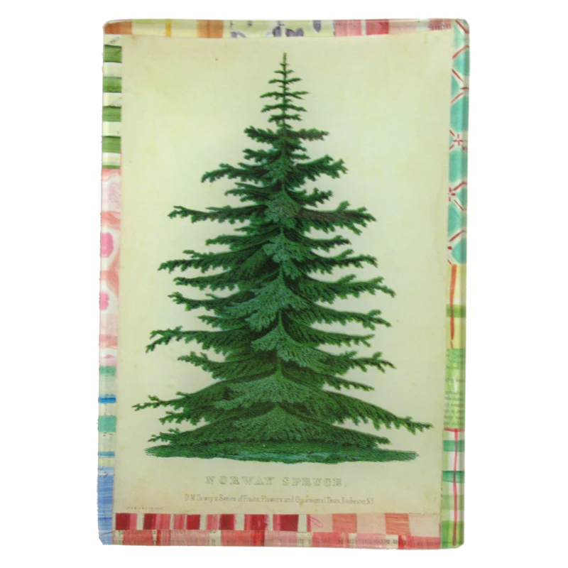 John Derian Norway Spruce - FINAL SALE 3 John Derian Norway Spruce - FINAL SALE
