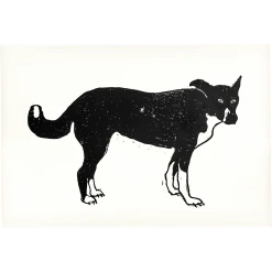 Hugo Guinness Mongrel