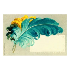 John Derian Company Inc Ostrich Feather