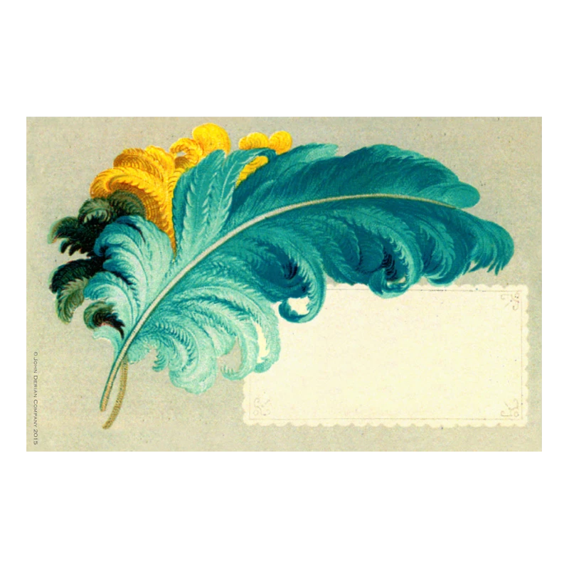 John Derian Company Inc Ostrich Feather 3 John Derian Company Inc Ostrich Feather