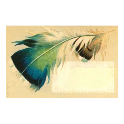 John Derian Company Inc Tail Feather Small Goods