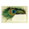 John Derian Company Inc Small Goods Peacock Feather