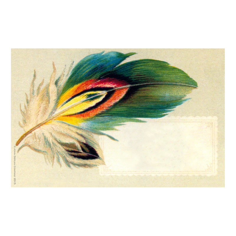 John Derian Company Inc Pheasant Feather 3 John Derian Company Inc Pheasant Feather