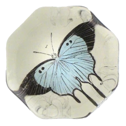 John Derian Light Blue Butterfly Decoupage