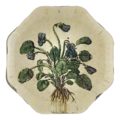 John Derian Violets 181