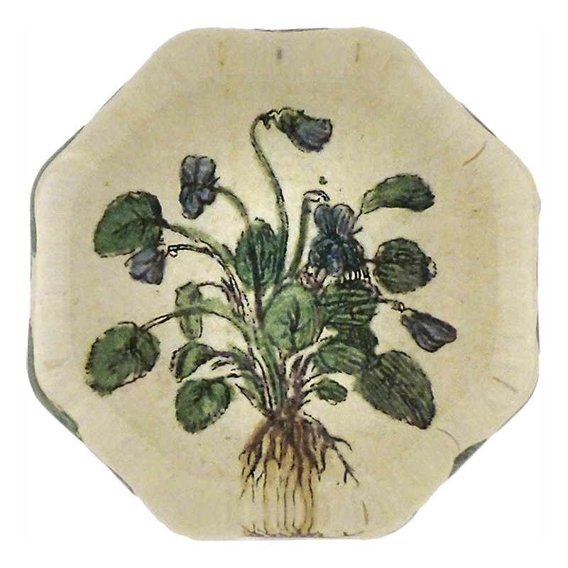 John Derian Violets 181 3 John Derian Violets 181