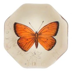 John Derian Orange Hypothoe