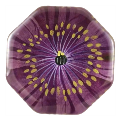 John Derian Jackmanii Clematis