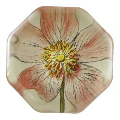 John Derian Rosa Canin Decoupage