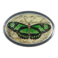 John Derian Decoupage Emerald Butterfly