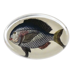 John Derian Decoupage Fish 26