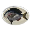 John Derian Fish 26 - FINAL SALE 1 John Derian Fish 26 - FINAL SALE
