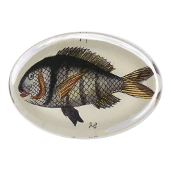 John Derian Fish 27