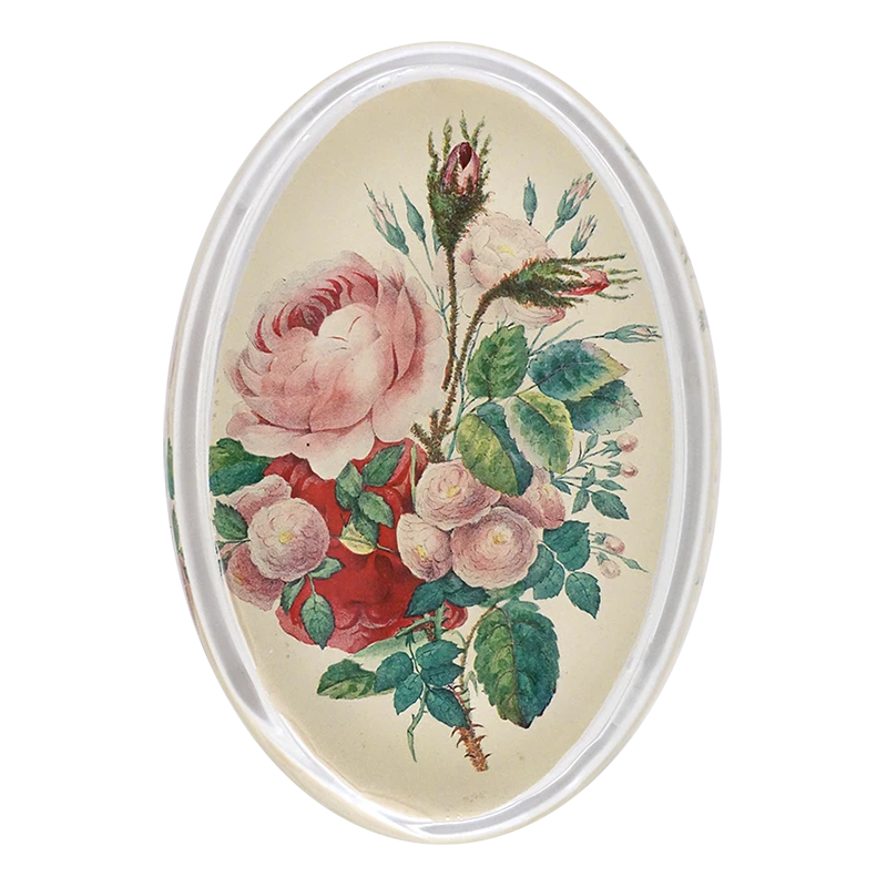 John Derian Pink Roses 3 John Derian Pink Roses