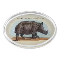 John Derian Decoupage Rhinoceros #53