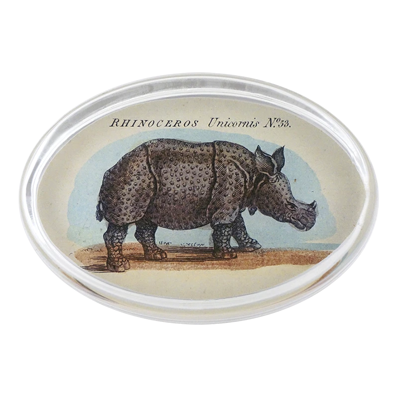 John Derian Decoupage Rhinoceros #53 3 John Derian Decoupage Rhinoceros #53