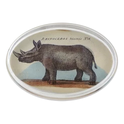 John Derian Rhinoceros #54 Decoupage