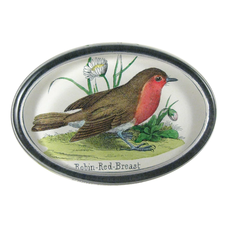 John Derian Robin-Red- Breast 3 John Derian Robin-Red- Breast