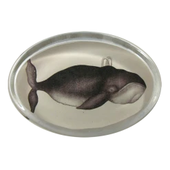 John Derian Decoupage Whale