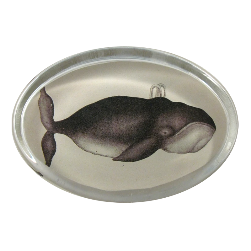 John Derian Decoupage Whale 3 John Derian Decoupage Whale