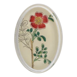 John Derian Alpine Rose - 19th Century Flower Decoupage