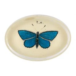John Derian Butterfly 2a