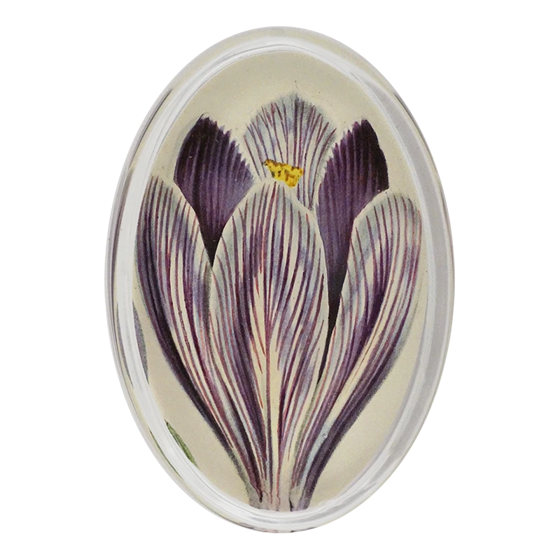 John Derian Decoupage Crocus Vernus 3 John Derian Decoupage Crocus Vernus