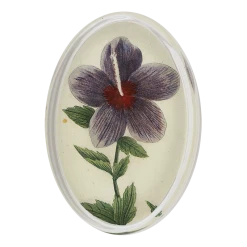 John Derian Hibiscus A