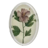 John Derian Hibiscus C Decoupage