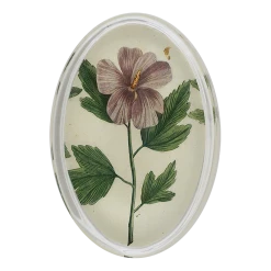 John Derian Hibiscus C Decoupage