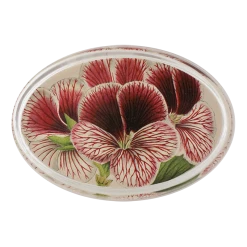 John Derian Mazeppa Geranium