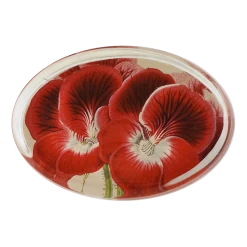 John Derian Medaille Geranium