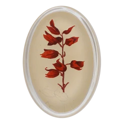 John Derian Red Petals Decoupage