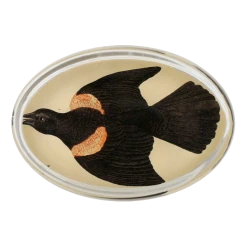 John Derian Decoupage Redwing Starling