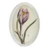 John Derian Decoupage Spring Crocus H