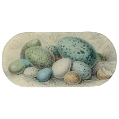 John Derian Decoupage Blue Eggs