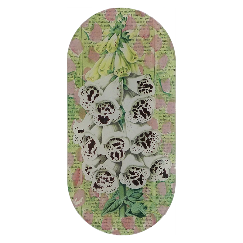 John Derian Decoupage White Foxglove 3 John Derian Decoupage White Foxglove