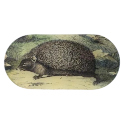John Derian Hedge Hog Decoupage