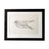 Vintage Art & Objects Olga Sears Bird Drawing #2