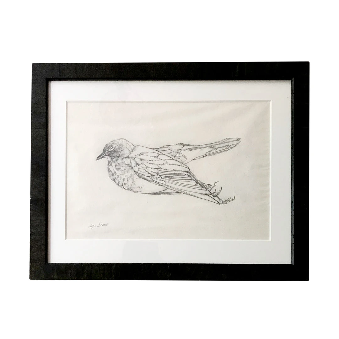 Vintage Art & Objects Olga Sears Bird Drawing #2 3 Vintage Art & Objects Olga Sears Bird Drawing #2