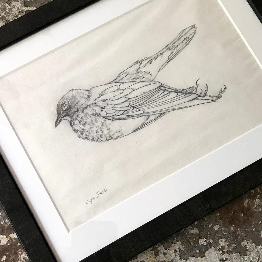 Vintage Art & Objects Olga Sears Bird Drawing #2 4 Vintage Art & Objects Olga Sears Bird Drawing #2