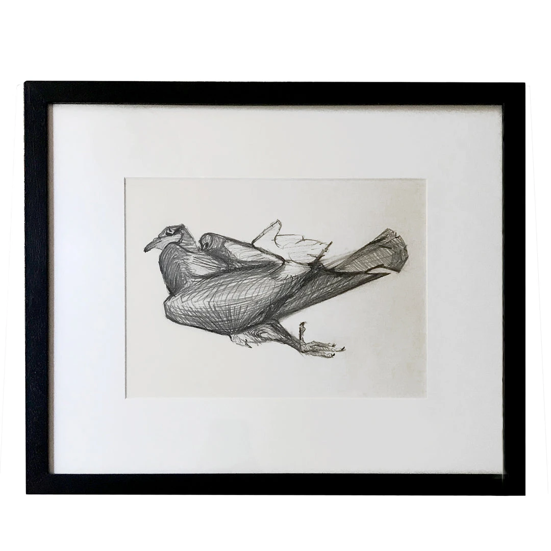 Vintage Olga Sears Bird Drawing #1 Art & Objects 3 Vintage Olga Sears Bird Drawing #1 Art & Objects