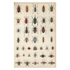 John Derian Company Inc Insects