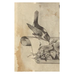 John Derian Company Inc Perched Bird Small Goods