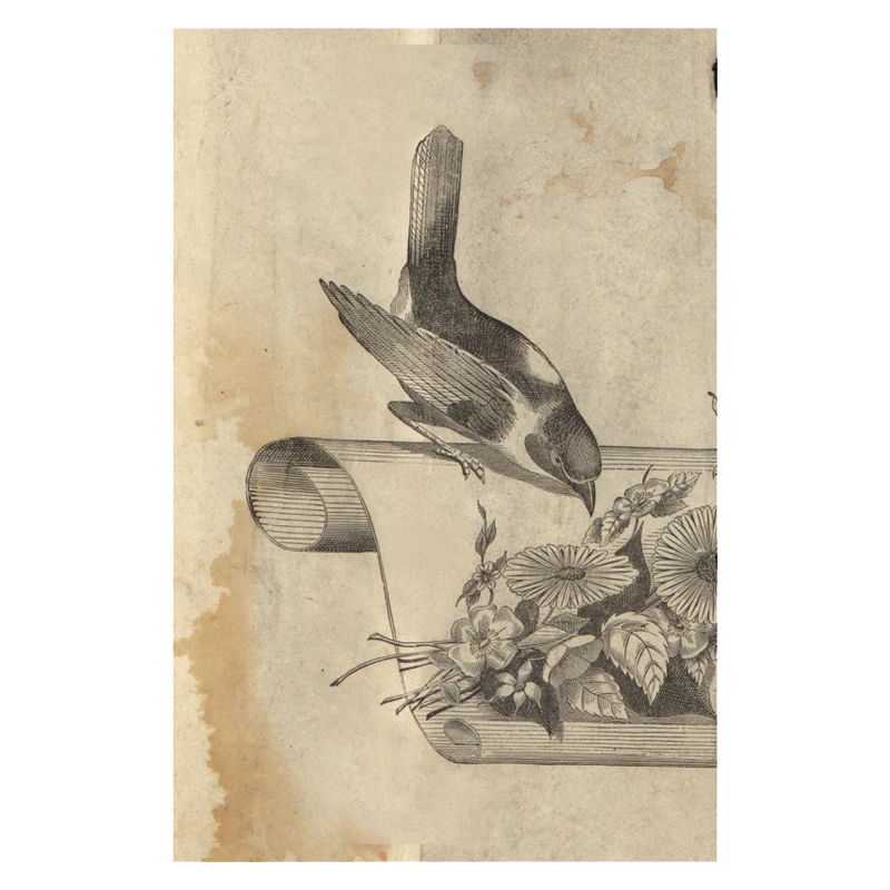 John Derian Company Inc Perched Bird Small Goods 3 John Derian Company Inc Perched Bird Small Goods