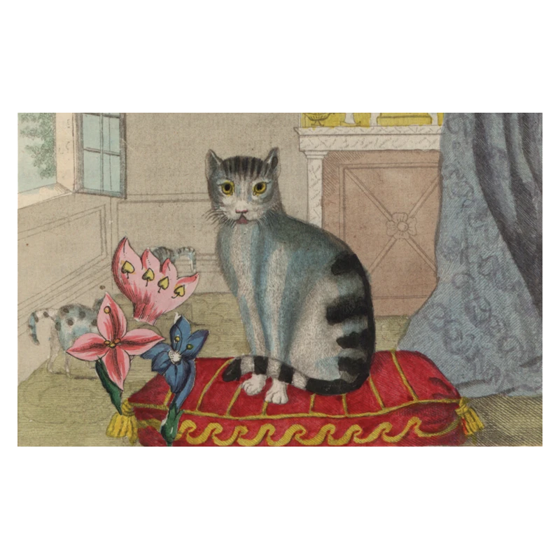 John Derian Company Inc Calm Cat 3 John Derian Company Inc Calm Cat